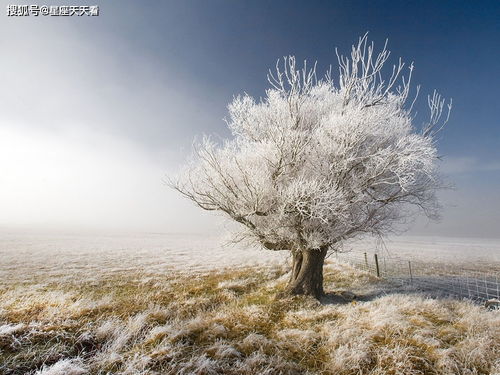 吉林魅力初现，小雪时期抵达颜值巅峰期!