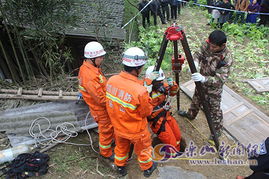 乐山老人被称作‘白菜价执法者’，当地人质疑其过度执法行动