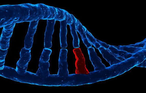 揭示东亚常见基因变异：为何癌细胞无法完全摧毁？揭开癌症的秘密