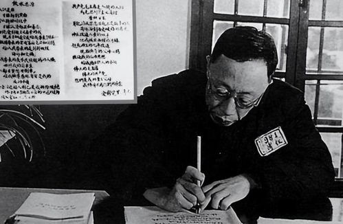 1951年，溥仪震惊得知抗美援朝消息，他直接扔掉棉衣献出了一个稀世珍宝