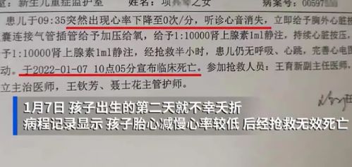 男子陪孩子参加象棋比赛惨遭不幸：相关政府部门回应关于再审申请的驳回信息