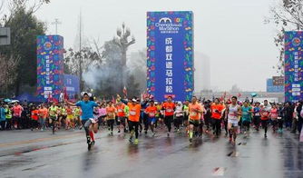 全球市场看热！未来一年，中国冬季旅游市场引人期待