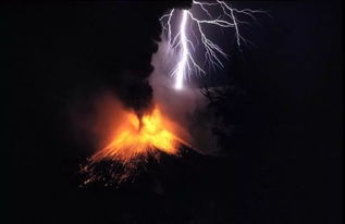 火山爆发摧毁大量生物：引发的全球生态灾难