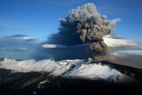 火山爆发摧毁大量生物：引发的全球生态灾难