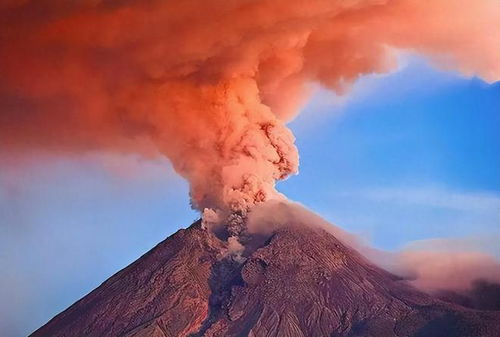 火山爆发摧毁大量生物：引发的全球生态灾难