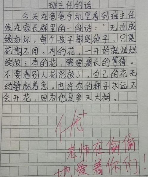 小学生因贪心吃相难看，被教师抢走午餐肉？真实事件曝光