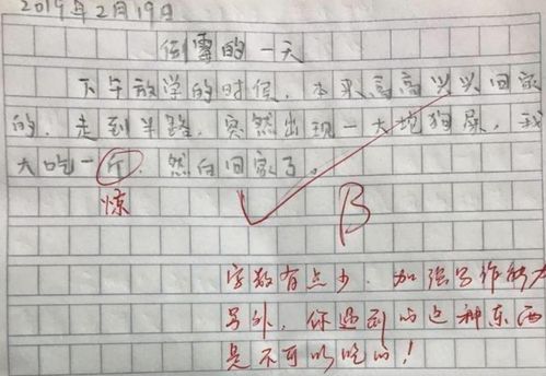 小学生因贪心吃相难看，被教师抢走午餐肉？真实事件曝光