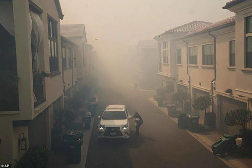 德里大范围雾霾袭城，数百市民被迫撤离