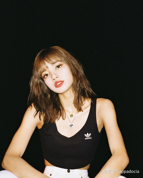 网上的豪华家族生活：Lisa、智秀和四人的故事截然不同