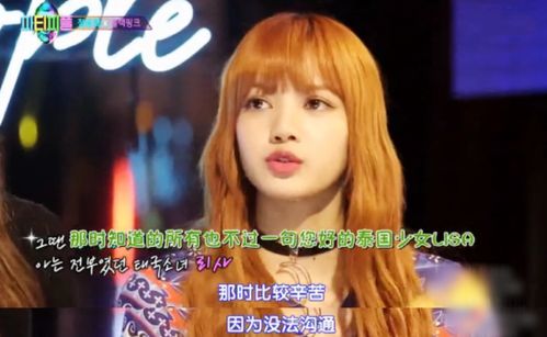 网上的豪华家族生活：Lisa、智秀和四人的故事截然不同