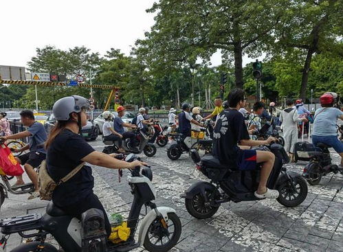 广州正式实施新规定：严禁电鸡在路上行驶，违规者将被处罚！详情曝光