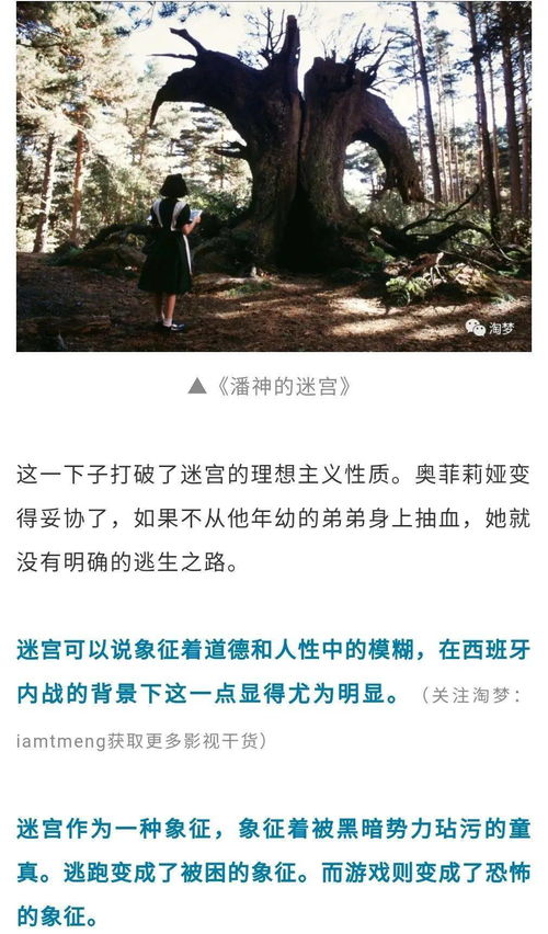 程序员的梦：揭秘梦境中的编剧象征含义