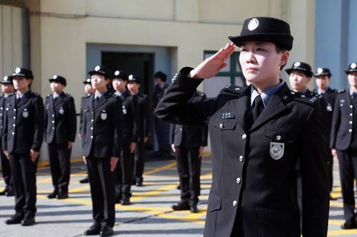 《我是刑警》剧情曝光：两原型警员赞誉拍摄细节真实精彩，案发现场悍匪周克华击毙仍留有弹孔痕迹

《我是刑警》播出：真实再现警察职业生涯，两位原型警员赞赏精彩现场描绘及残酷悍匪击毙场景