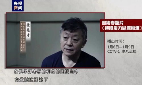 中国足球系列腐败案最新进展：已有13人获刑，其中李铁、杜兆才未判

足球腐败案真相揭开：共13人获刑，李铁、杜兆才未受审