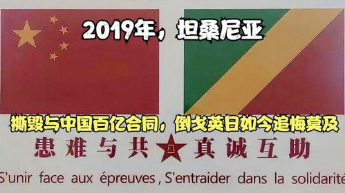 坦桑尼亚决定放弃与中国合作，并对英国和日本发出友好邀请。现在的进展如何？