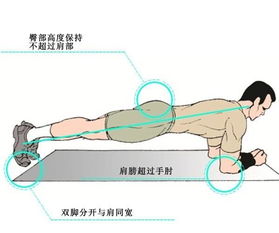 神奇的平板支撑：肌肉的力量与节奏之间的微妙平衡