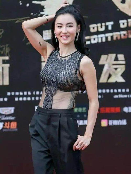 张柏芝复出首播，穿修身服饰显腹部隆起，媒体揭秘：四胎实则女儿