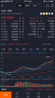 特斯拉创始人马斯克净资产增长至4000亿美元，旗下慈善基金陷入财务困境