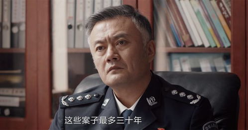 《我是刑警》大结局：秦川查积案，为何得不到提升？揭示惊人秘密

《我是刑警》秦川破解悬案，升职之路坎坷曲折，真相让人惊讶不已